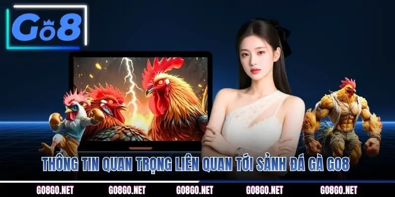 Thông tin quan trọng liên quan tới sảnh đá gà GO8